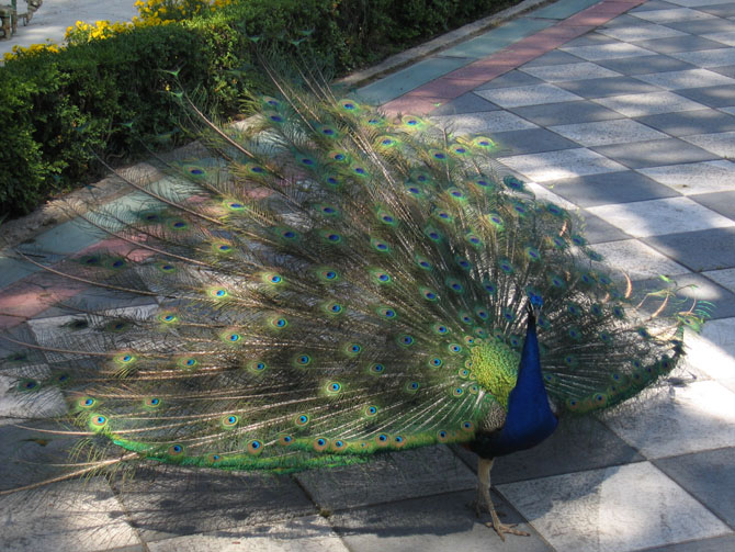 Foto de Madrid (Comunidad de Madrid), España