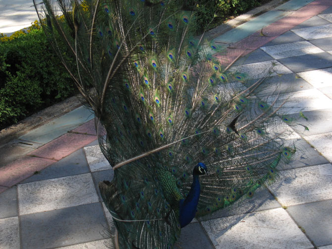 Foto de Madrid (Comunidad de Madrid), España