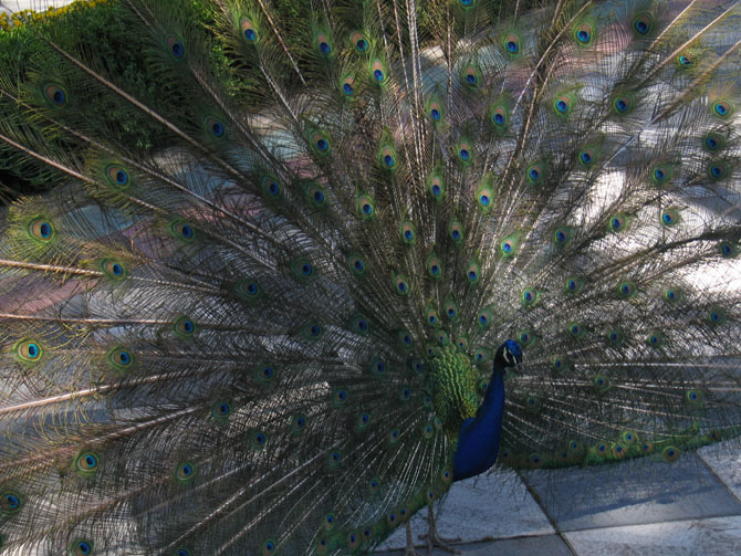 Foto de Madrid (Comunidad de Madrid), España