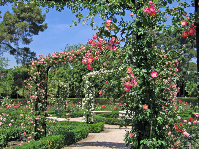 Foto de Madrid (Comunidad de Madrid), España