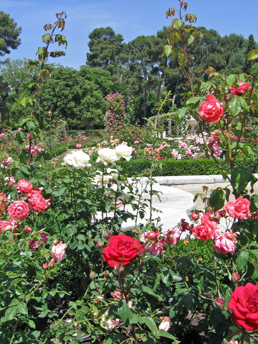 Foto de Madrid (Comunidad de Madrid), España