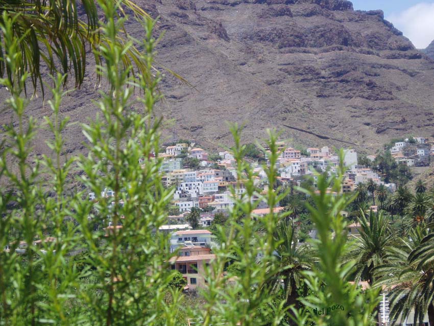 Foto de Tenerife (Santa Cruz de Tenerife), España