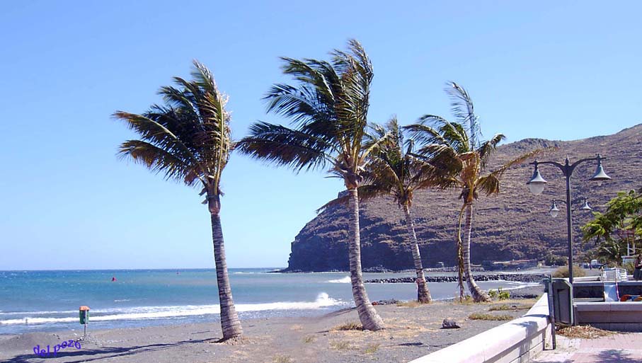 Foto de Tenerife (Santa Cruz de Tenerife), España