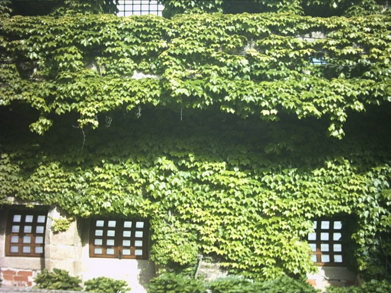 Foto de San Pedro de Alcantara (Cáceres), España