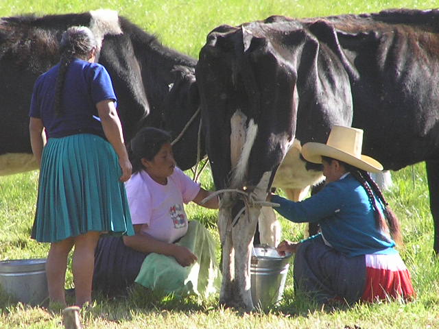 Foto de Cajamarca, Perú