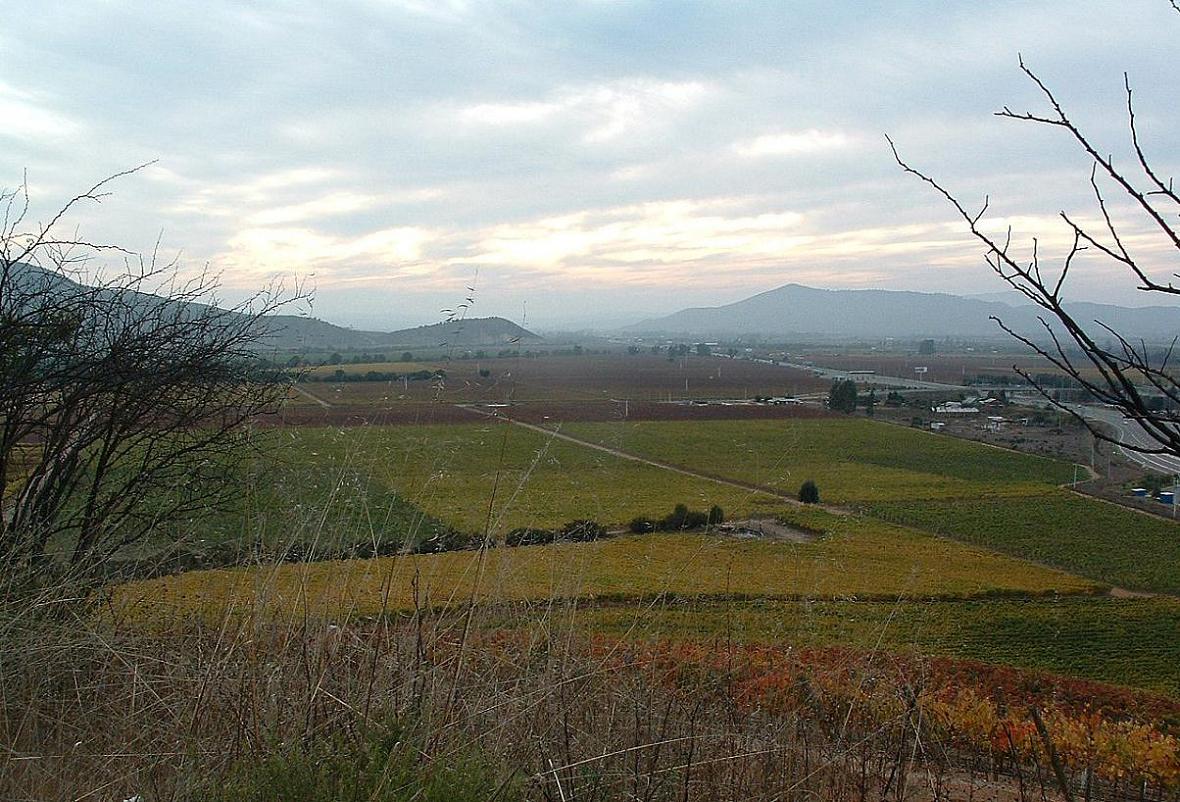 Foto de Casablanca, Chile