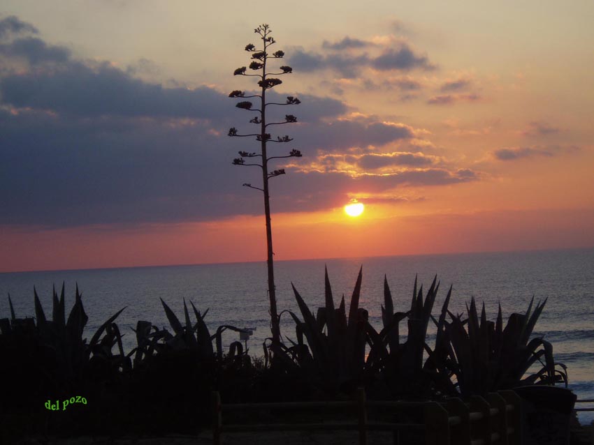 Foto de Chiclana de la Frontera (Cádiz), España