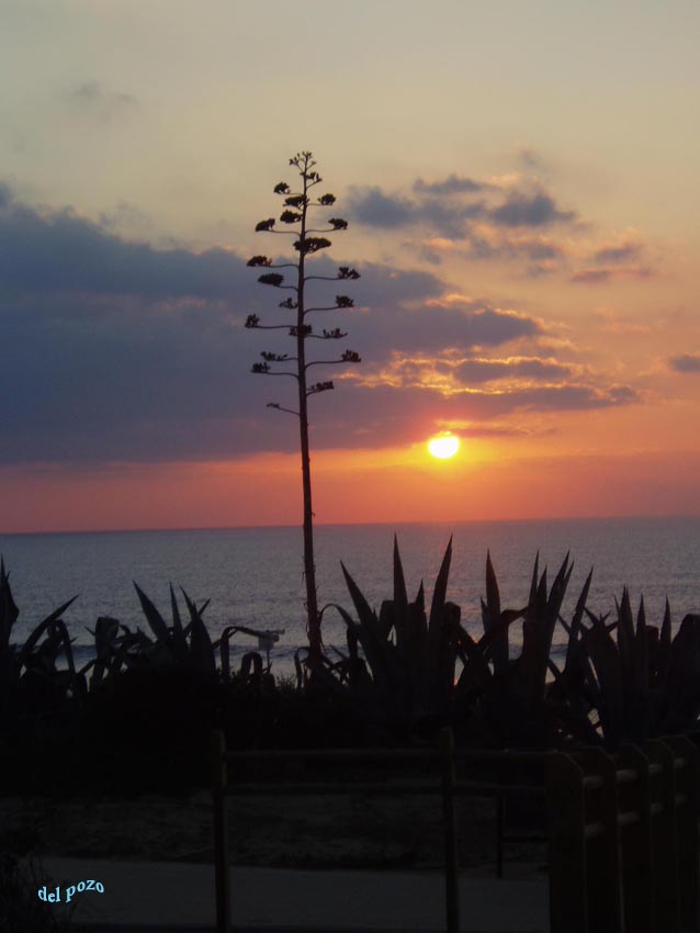 Foto de Chiclana de la Frontera (Cádiz), España