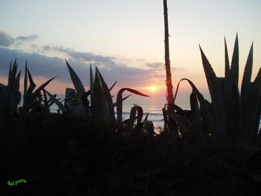 Foto de Chiclana de la Frontera (Cádiz), España