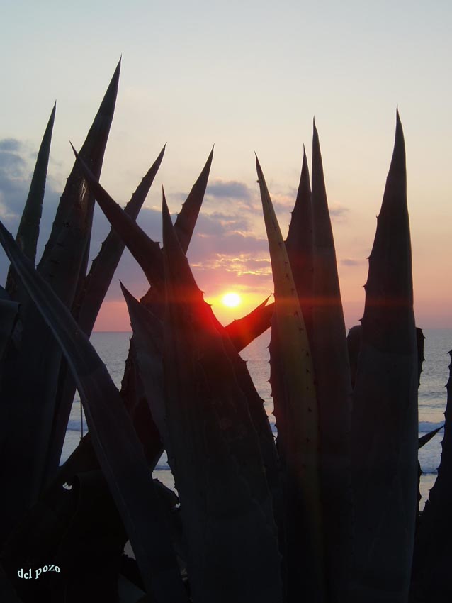 Foto de Chiclana de la Frontera (Cádiz), España