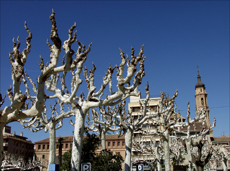 Foto de Calatayud (Zaragoza), España