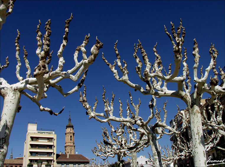 Foto de Calatayud (Zaragoza), España