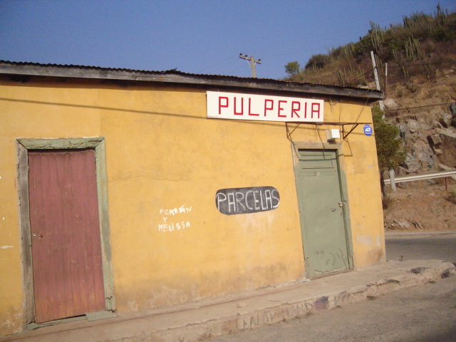 Foto de OLMUE, Chile