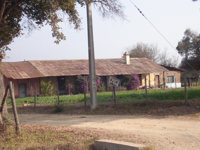 Foto de LIMACHE, Chile