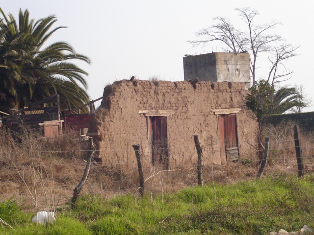 Foto de LIMACHE, Chile
