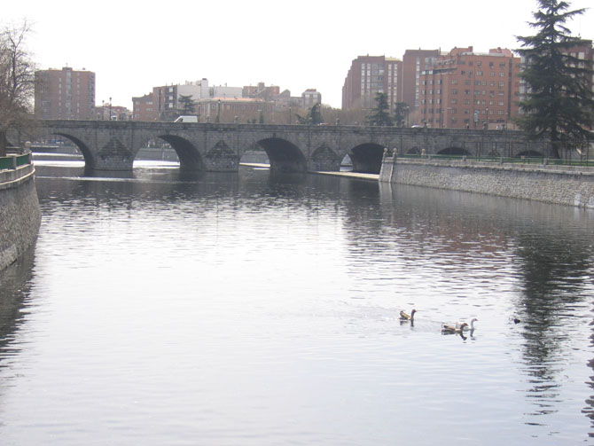 Foto de Madrid (Comunidad de Madrid), España