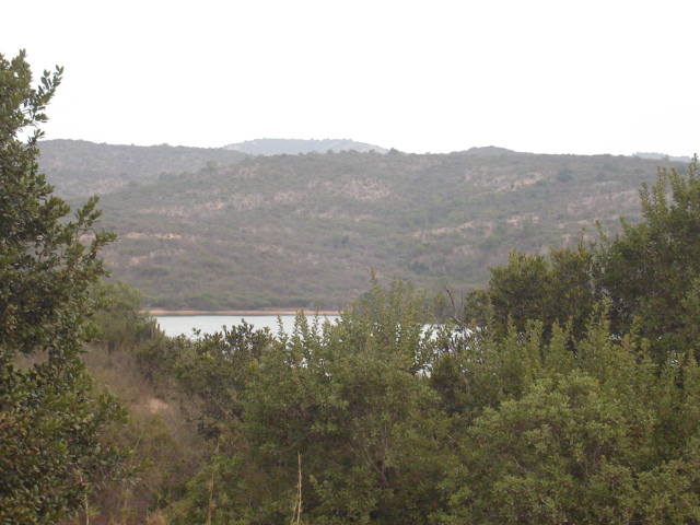 Foto de QUILPUE, Chile