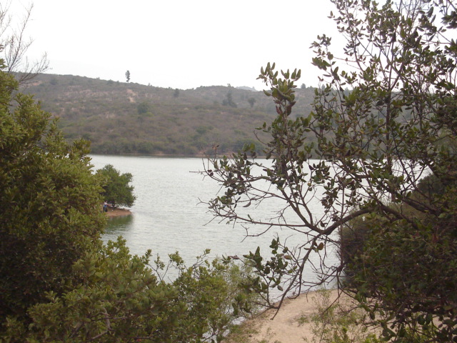 Foto de QUILPUE, Chile