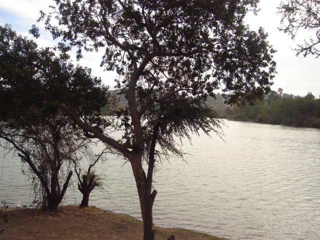 Foto de QUILPUE, Chile