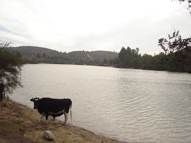 Foto de QUILPUE, Chile