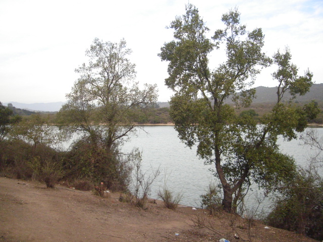 Foto de QUILPUE, Chile