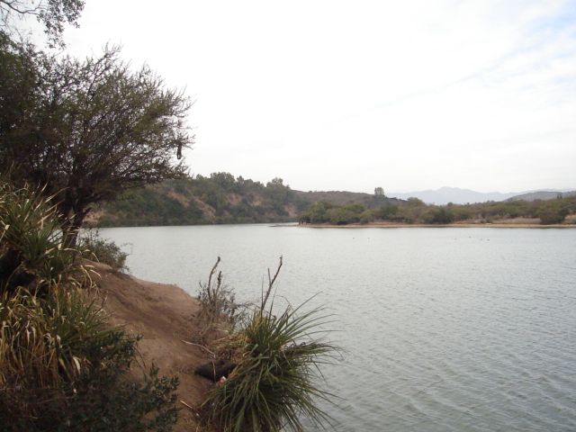 Foto de QUILPUE, Chile