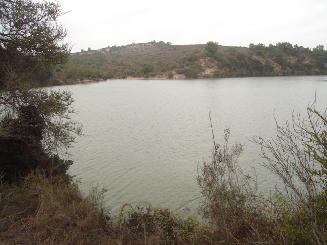 Foto de QUILPUE, Chile