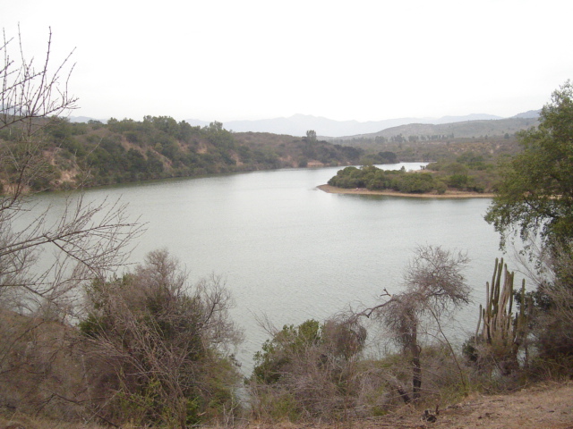 Foto de QUILPUE, Chile