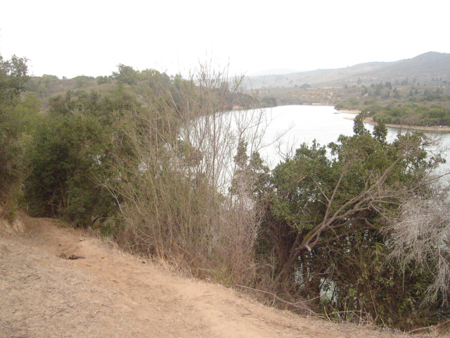 Foto de QUILPUE, Chile