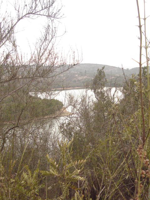 Foto de QUILPUE, Chile