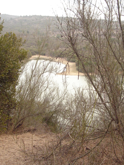 Foto de QUILPUE, Chile