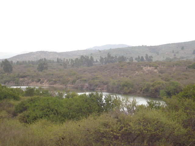 Foto de QUILPUE, Chile