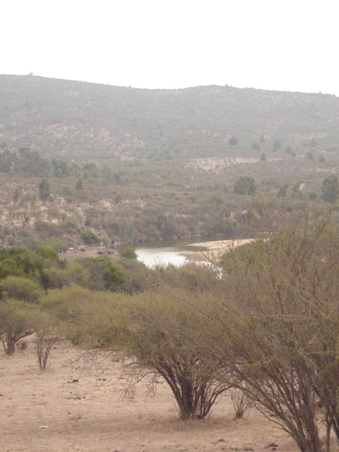 Foto de QUILPUE, Chile