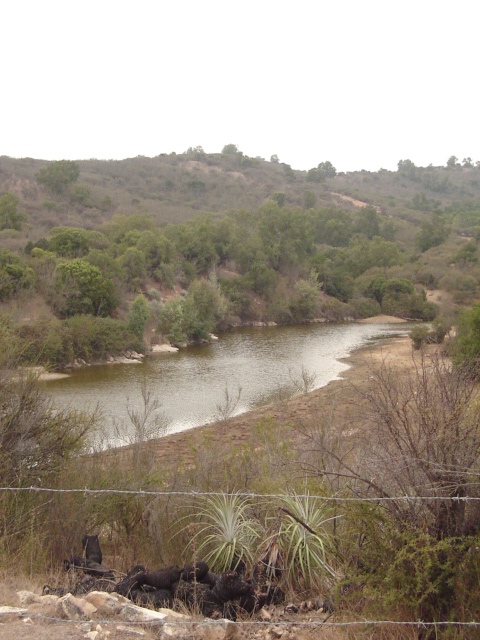 Foto de QUILPUE, Chile
