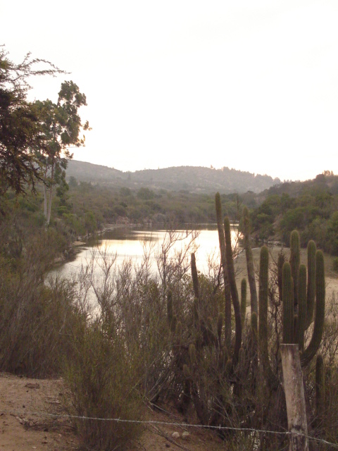 Foto de QUILPUE, Chile