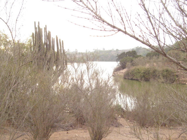 Foto de QUILPUE, Chile