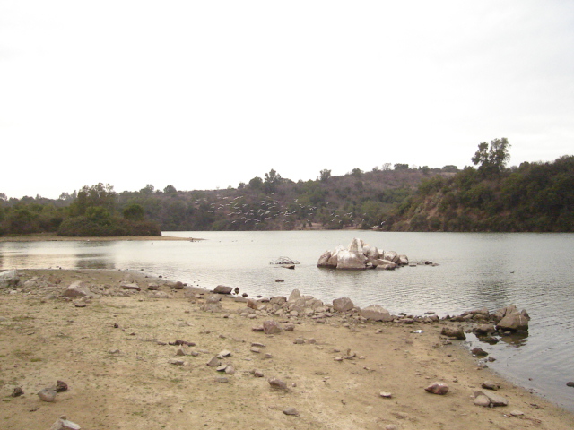 Foto de QUILPUE, Chile