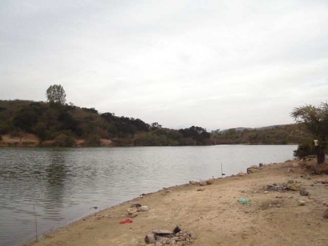 Foto de QUILPUE, Chile