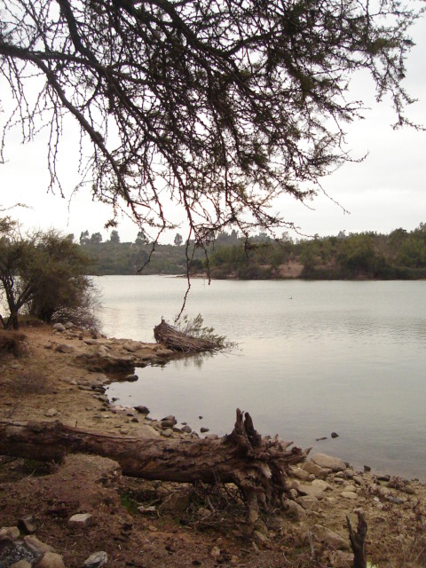 Foto de QUILPUE, Chile