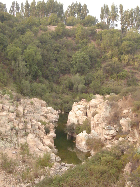 Foto de QUILPUE, Chile