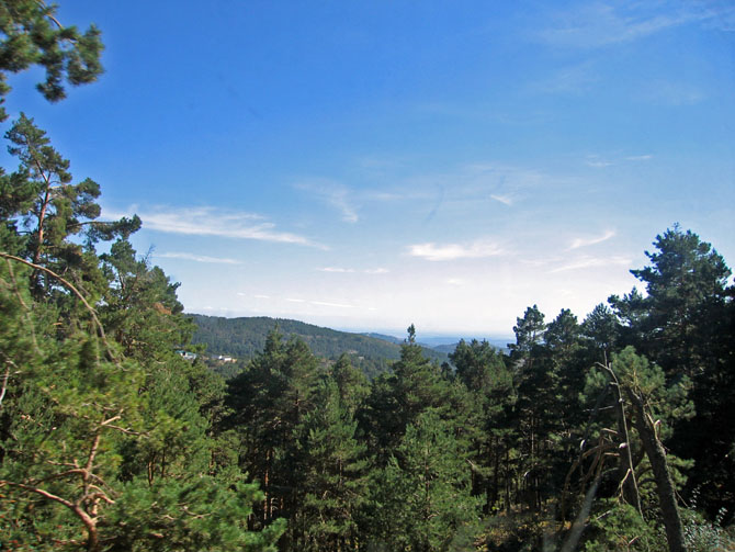 Foto de Madrid (Comunidad de Madrid), España
