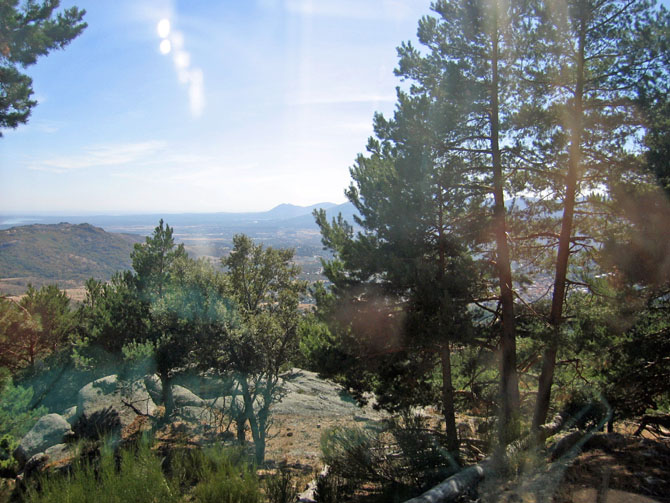 Foto de Madrid (Comunidad de Madrid), España