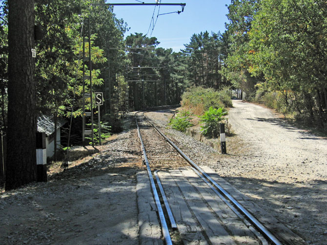 Foto de Madrid (Comunidad de Madrid), España