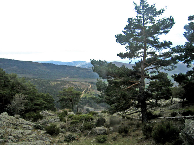 Foto de Madrid (Comunidad de Madrid), España