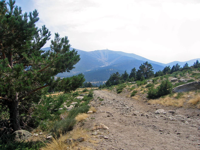 Foto de Madrid (Comunidad de Madrid), España