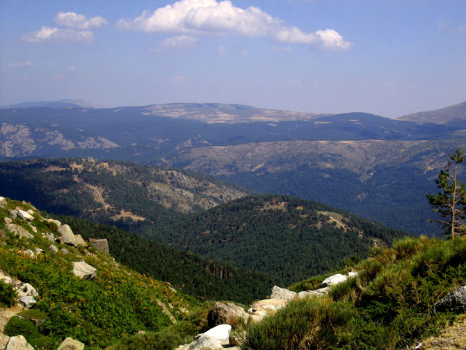 Foto de Madrid (Comunidad de Madrid), España