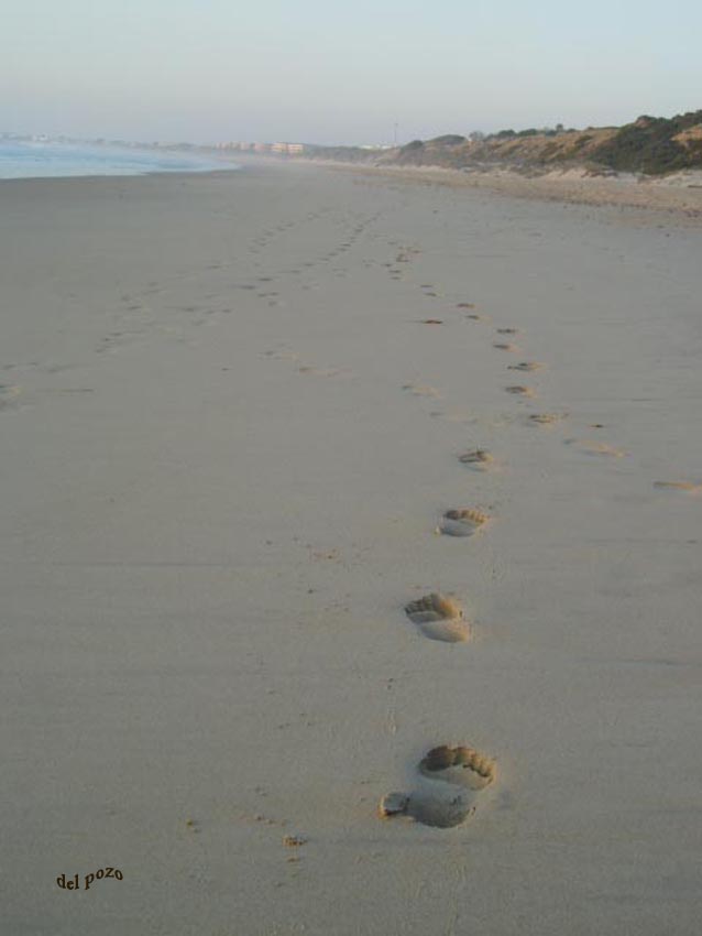 Foto de Chiclana de la Frontera (Cádiz), España
