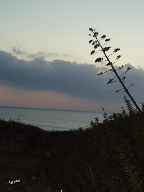 Foto de Chiclana de la Frontera (Cádiz), España