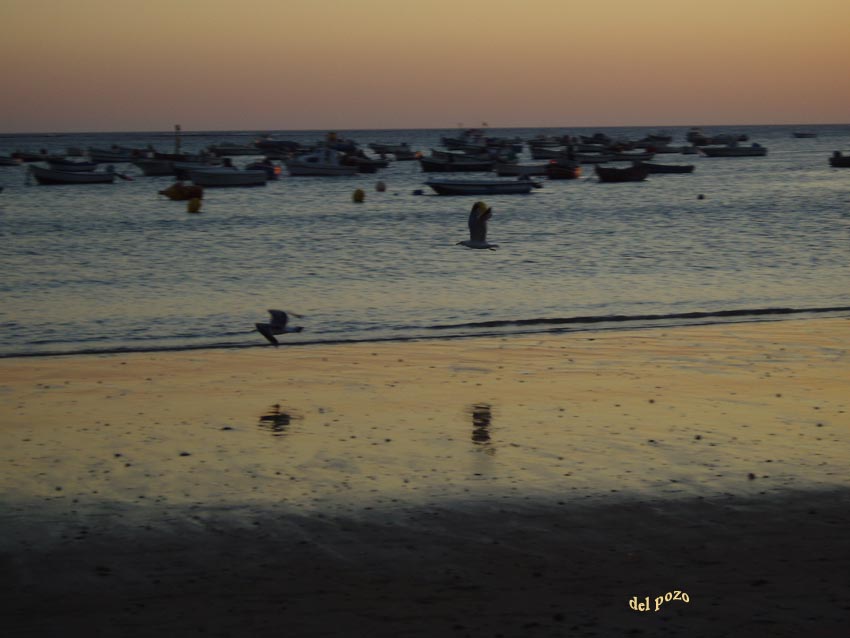 Foto de Cádiz (Andalucía), España