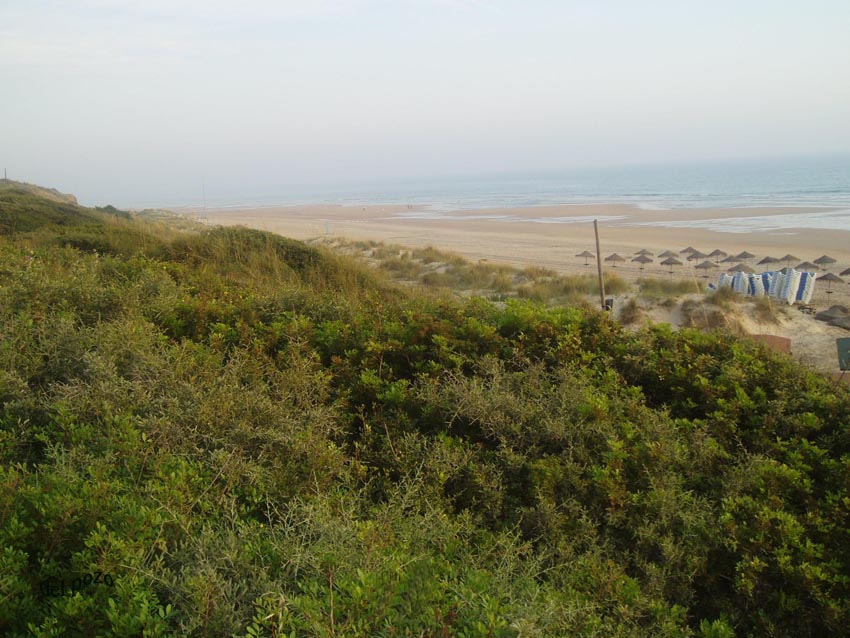 Foto de Chiclana de la Frontera (Cádiz), España